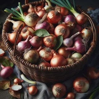 Onions Exported to Bangladesh SriLanka Malaysia Indonesia MiddleEast Onions Worlds 11th Largest Producer Pakistan
