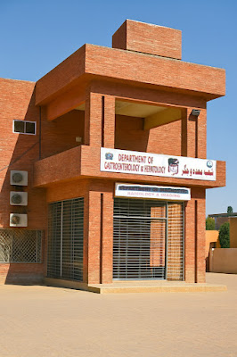 Daylight view of Gastroenterology and Radiology departments at Civil Hospital Sukkur, red brick building with bilingual signage.
