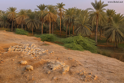 Historic Plain near Hasil Shah Graveyard – Umarkas Wah, Rohri Historic plain near Hasil Shah graveyard below Umarkas Wah, Rohri — a rural Sindh landscape possibly linked to past battles or cultural memory. Dry terrain, palm trees, and irrigation traces reflect Sindh’s heritage.
