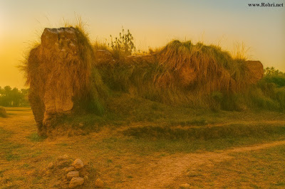 Ruins of Kot Sadiq Ali Shah – Baiji Road, Pano Aqil Ruins of Kot Sadiq Ali Shah along Baiji Road in Pano Aqil Taluka, Sindh — historic fort remains with eroded walls, scattered stones, and traces of ancient settlement. A cultural landmark reflecting Sindh’s medieval heritage.