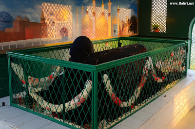 Enclosed Tomb of Shah Maqsood – Reverent Shrine in Rohri, Sindh A tomb enclosed by a green metal lattice fence, draped in black cloth and floral garlands, set against a mural of Islamic architecture with domes and minarets, inside a shrine in Rohri, Sindh.