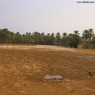 Umarkas Wah Battlefield Plain – Sindh’s Historical Landscape Historic battlefield site near Umarkas Wah in Sindh, a plain believed to have witnessed battles in past centuries. Heritage documentation highlighting Sindh’s cultural memory, Rohri historical landscape, and possible war site.