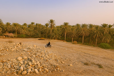 Historic Plain Above Umarkas Wah – Rohri’s Cultural Landscape Historic plain above Umarkas Wah in Rohri, Sindh — dry terrain with scattered rocks and palm trees in the background. Possibly a former battlefield or cultural site, reflecting Sindh’s rural landscape and heritage.