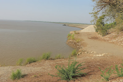 Sukkur-Larkana Dyke Repair Schemes Ignored Despite Indus River Erosion Threat