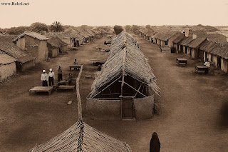 Cholera and Plague Outbreaks in Rohri, Sukkur, Sindh: A Global and Local Perspective